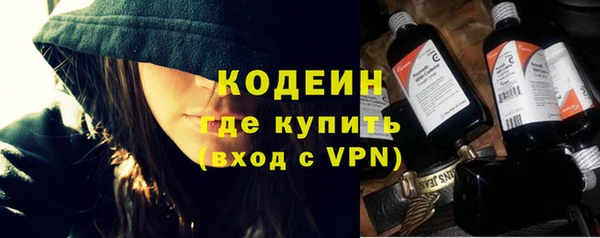 шишки Беломорск