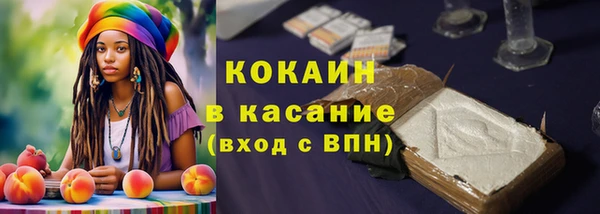 прущий лед Богданович