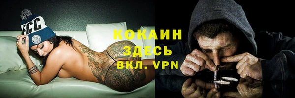 дмт Белокуриха