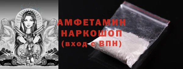 шишки Беломорск