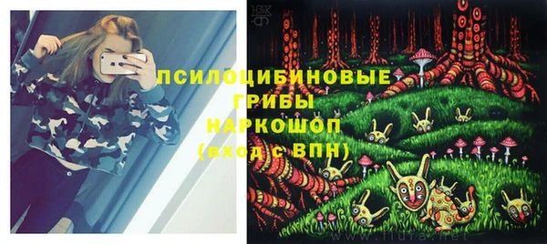 шишки Беломорск